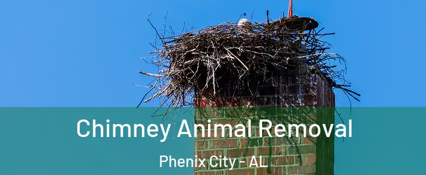 Chimney Animal Removal Phenix City - AL