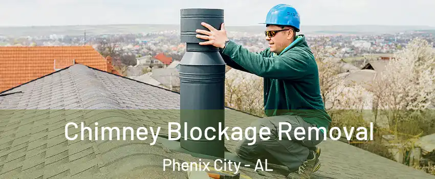  Chimney Blockage Removal Phenix City - AL