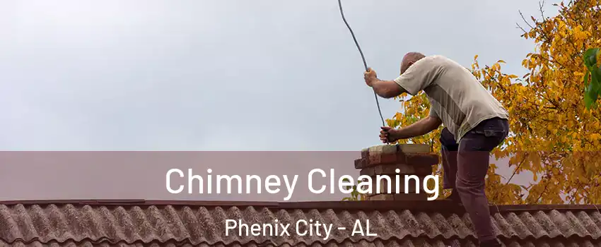  Chimney Cleaning Phenix City - AL