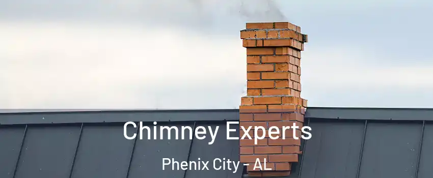  Chimney Experts Phenix City - AL