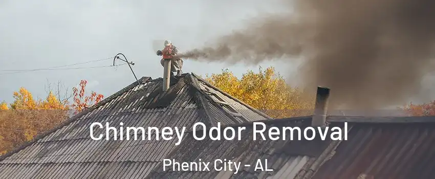  Chimney Odor Removal Phenix City - AL