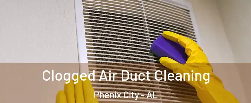  Clogged Air Duct Cleaning Phenix City - AL