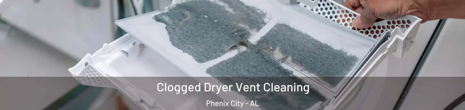  Clogged Dryer Vent Cleaning Phenix City - AL