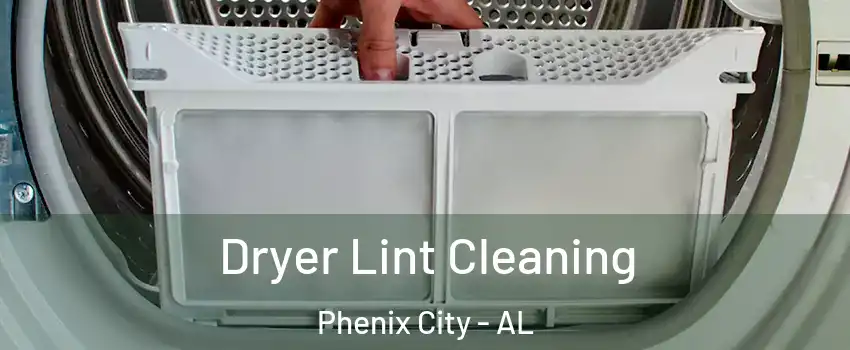  Dryer Lint Cleaning Phenix City - AL