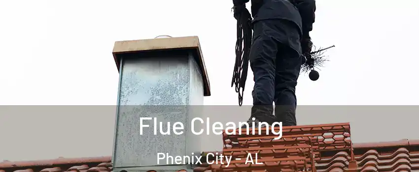  Flue Cleaning Phenix City - AL