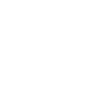 Professional Chimney Flue Installation in Phenix City, Alabama