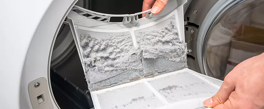Best Dryer Lint Removal Company in Phenix City, Alabama