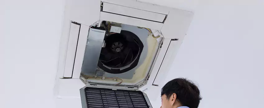 Benefits of Professional Air Duct Cleaning in Phenix City, Alabama
