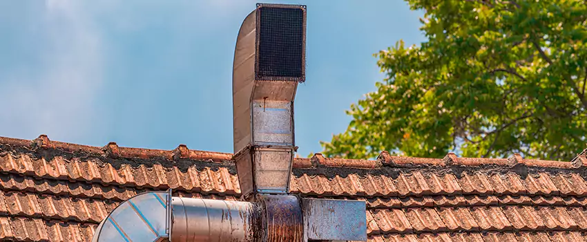 Chimney Blockage Removal in Phenix City, Alabama