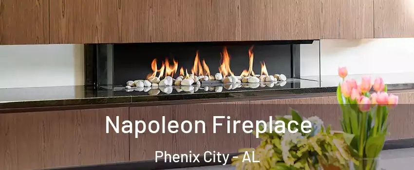  Napoleon Fireplace Phenix City - AL